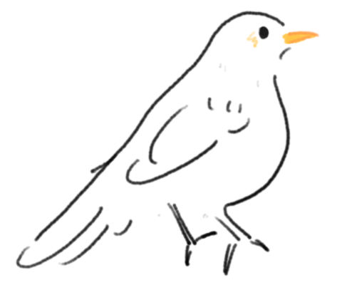 Line art of a common blackbird.