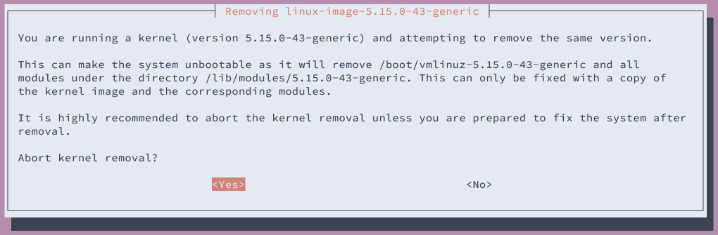 Warning that the running kernel will be uninstalled with the suggestion to abort.