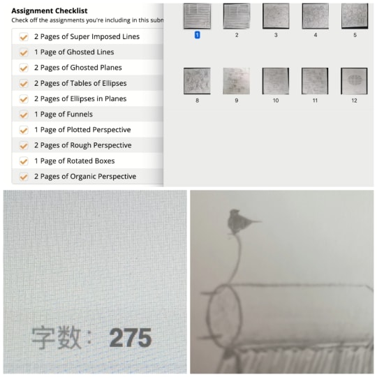 拼图：绘画练习作业集合；“字数：275”的界面截图；一只小鸟停在太阳能热水器上的简笔画。