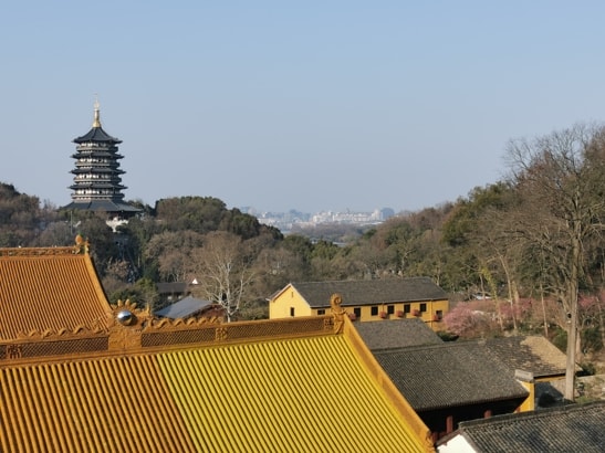 从寺庙高处望去，绿树环绕的雷峰塔与近处侧面小径旁的花丛。