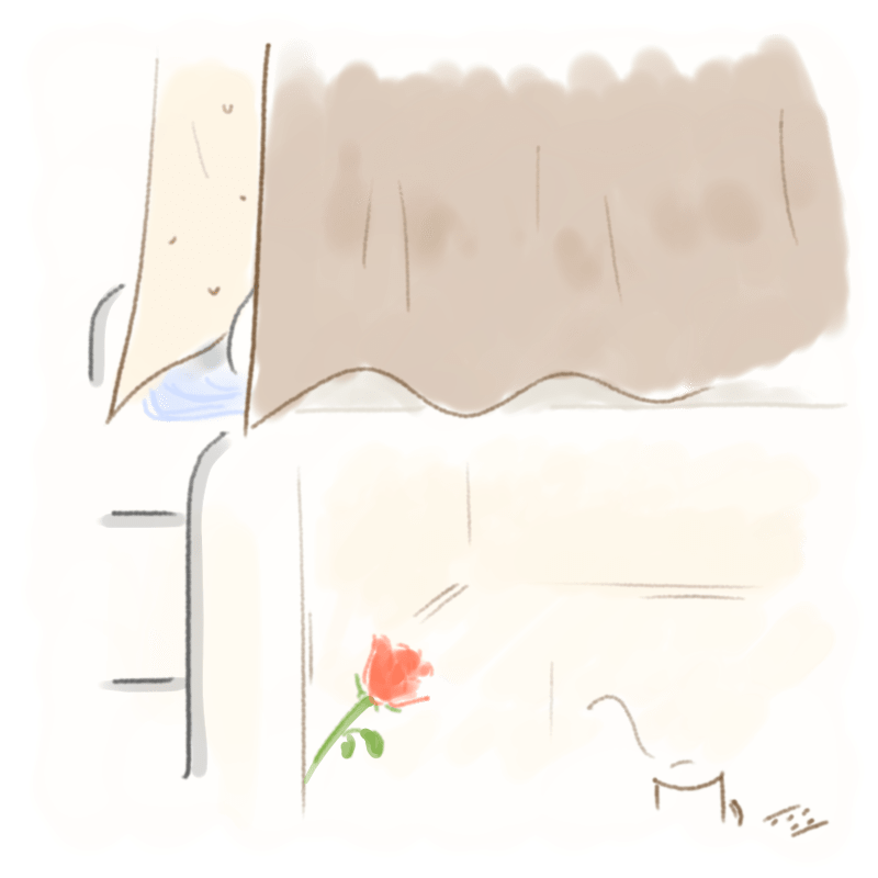 A rose in the dormitory, with curtains drawn over the bed and cold medicine on the table.