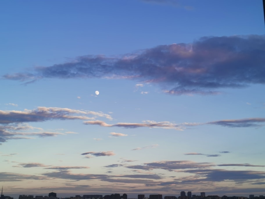 粉紫色的长条状碎云散落在天空，把月亮包围其间。
