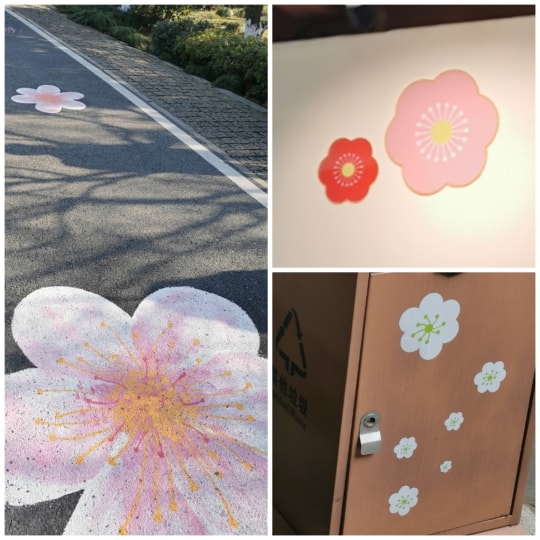 拼图：道路上的花朵图案、展馆里张贴的图案、垃圾箱的装饰图案，皆为六瓣梅花。