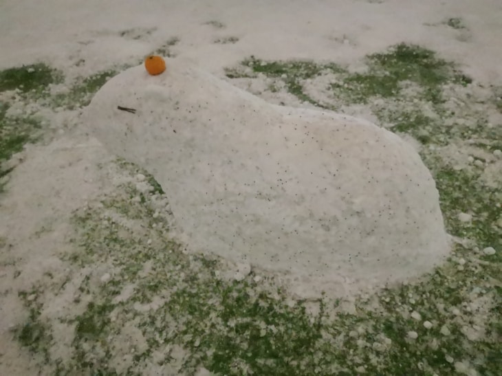 雪雕水豚，头上顶着一个橘子。