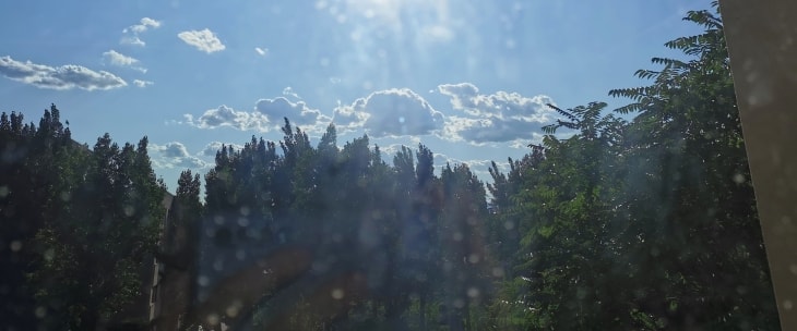 透过窗户看去的耀眼阳光下的树木与云朵。