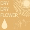 歌曲封面。浅橙色背景下米色线条画出的花瓣与水滴，以及英语及日语写着歌曲标题。