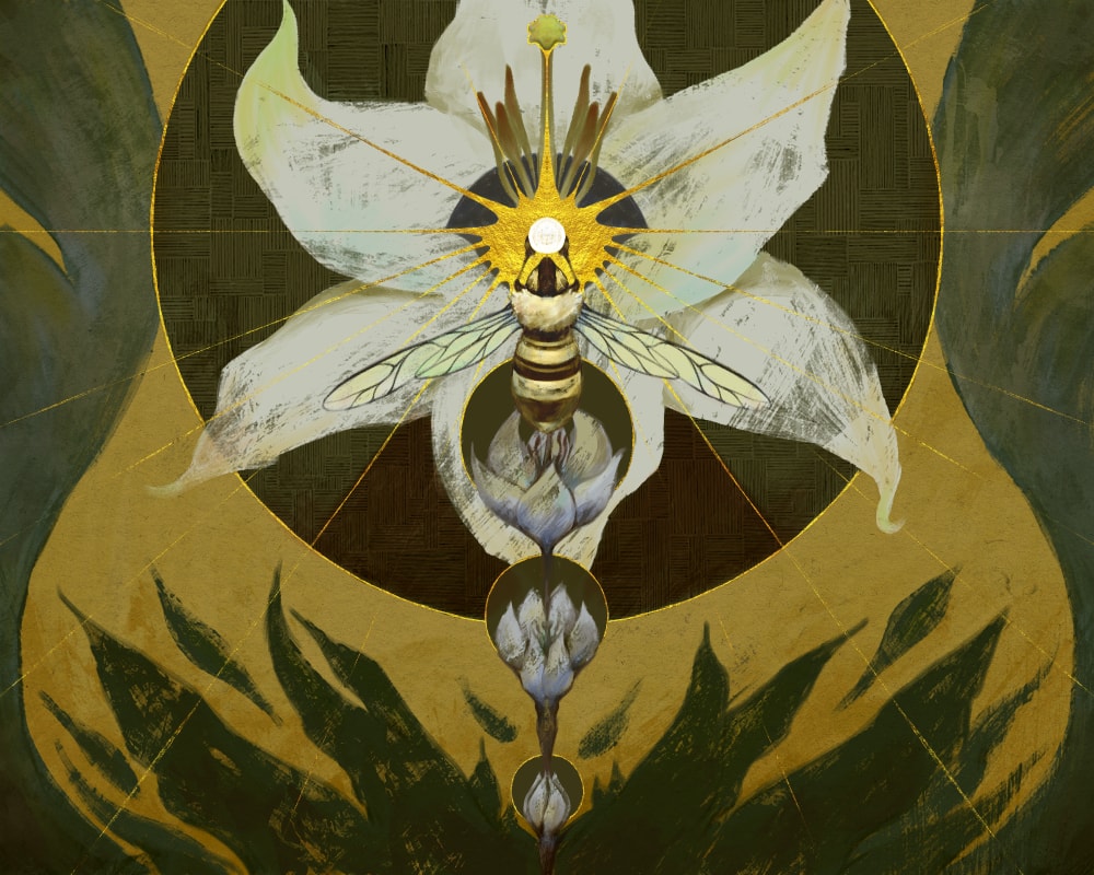 Cover art of the image; a bee resting on a white blossom, giving off a golden glow.