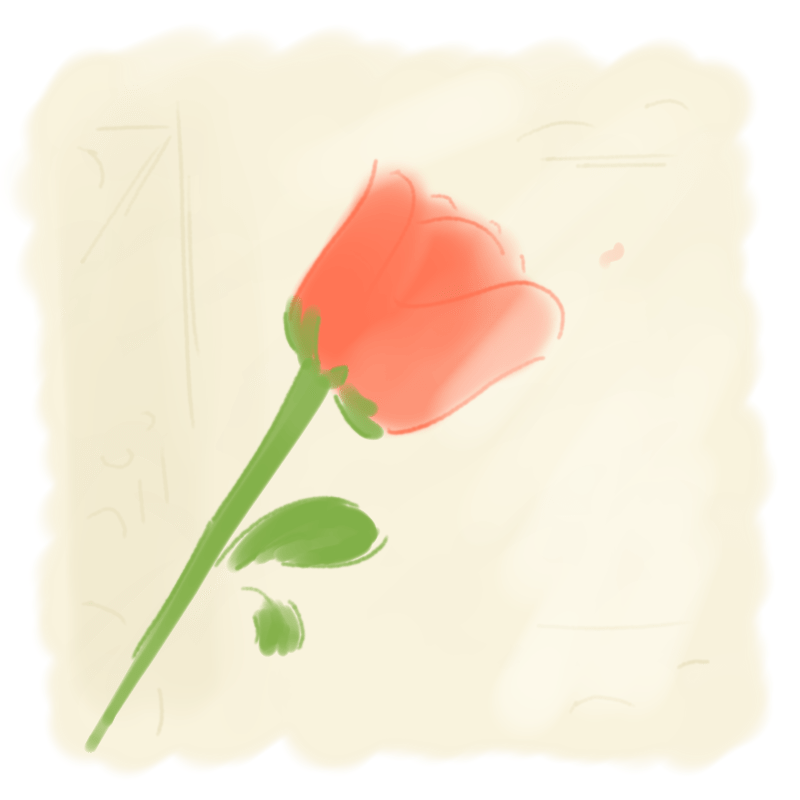 A rose with a slightly drooping head in a shaded spot inside the dormitory.
